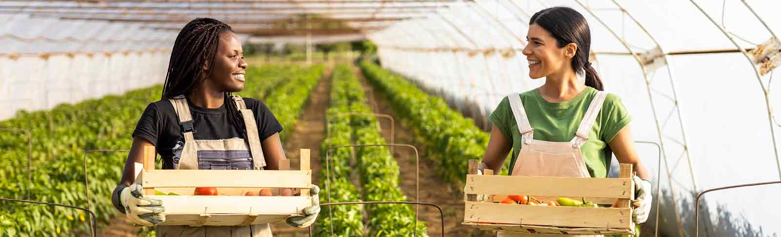 Woolworths sustainability linked deal